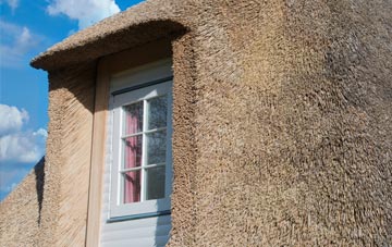 Tarfside thatch roof disadvantages
