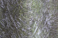 Tarfside fibreglass roof work